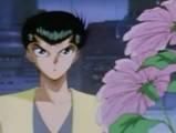 aratos da nu mai aratos decat kurama :limba: yusuke:x
